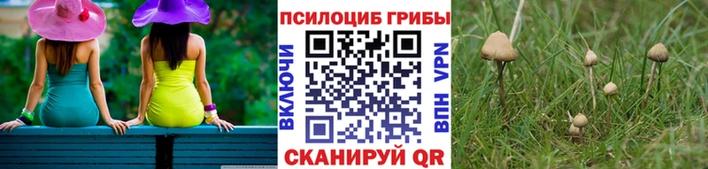 Псилоцибиновые грибы мухоморы  Купить где  Сосногорск 