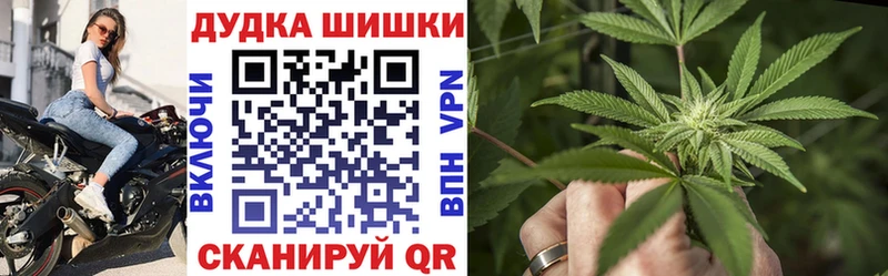 Купить где Сосногорск Марихуана сатива